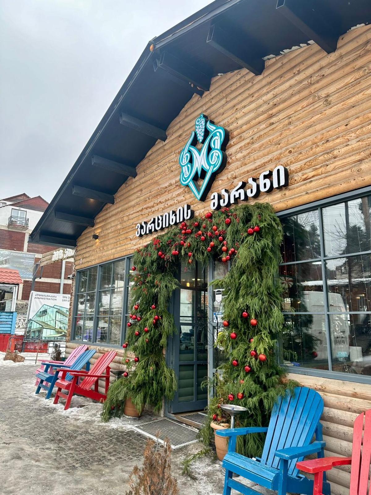 Mgzavrebi Apartment In 바쿠리아니 외부 사진