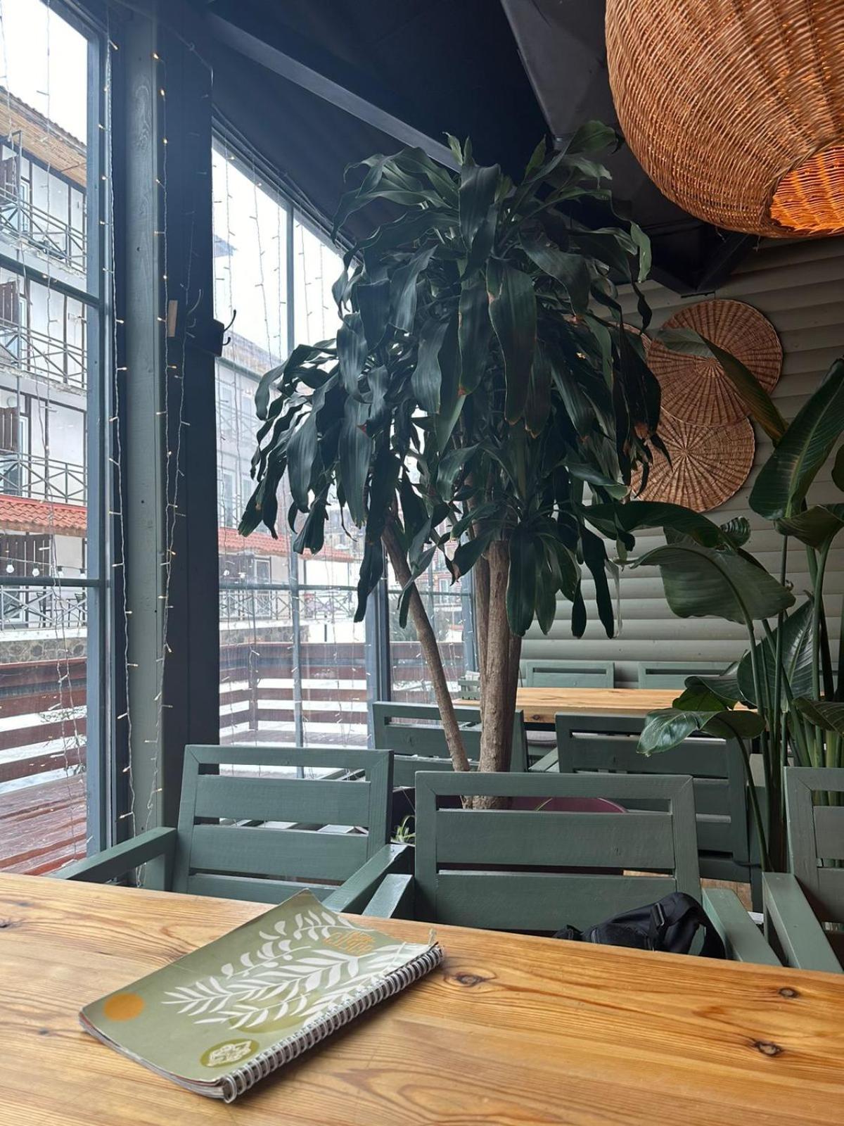 Mgzavrebi Apartment In 바쿠리아니 외부 사진